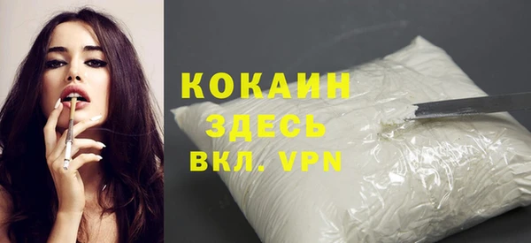 твердый Аркадак