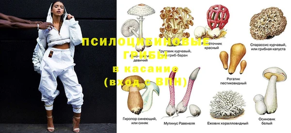 твердый Аркадак